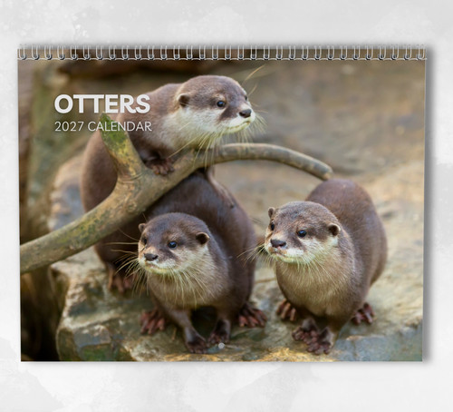 Otter calendar 2027 monthly - otter,