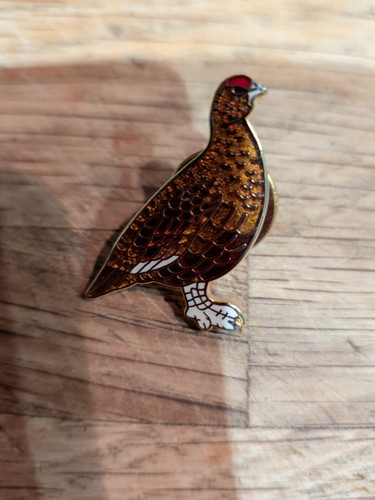Grouse pin - grouse,
