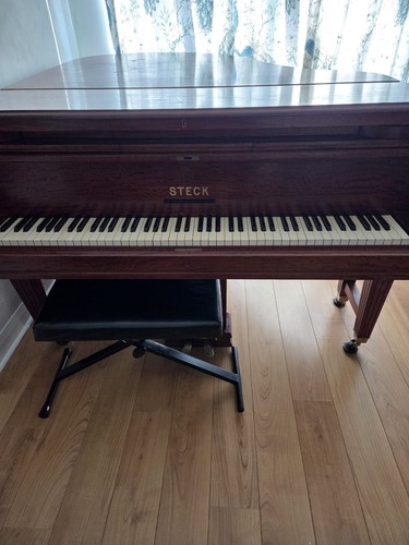 Steck baby grand piano - steck,
