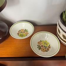 Myott Ironstone Ware Pampas