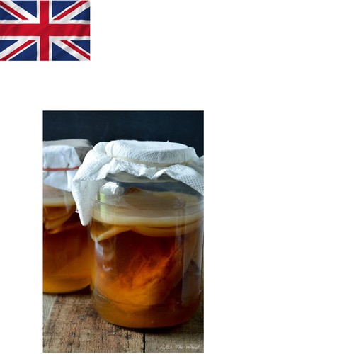 Organic kombucha scoby - 3l,