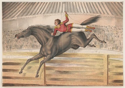 Photo circus performer riding - photo:circus,