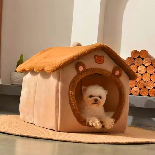 Pet cat kitten - kitten, igloo