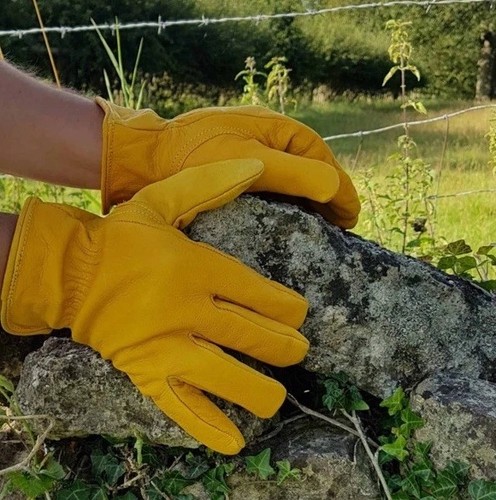 Leather work gloves gardening - work,