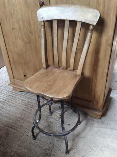 Interesting old elm - interesting,