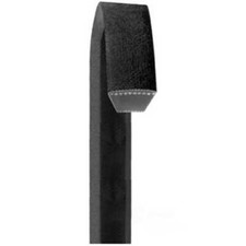 Belt dayco ap50 - ,
