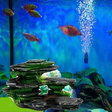 Aquarium Decoration for Home