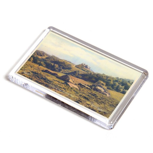 Fridge magnet vintage - fridge,