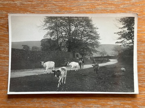 Antique 1920s rppc postcard - 1920s,