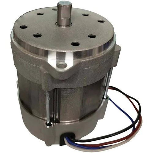 Worcester riello 3005820 motor - 3005820,