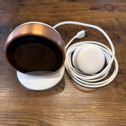 Google nest learning - google,