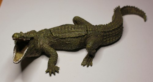 Franz bergmann crocodile with - crocodile,