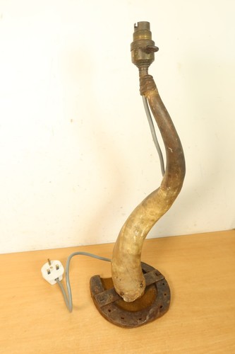 Vintage deer cow ram antler - cow,