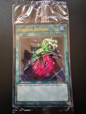 Foolish Return LART-EN042