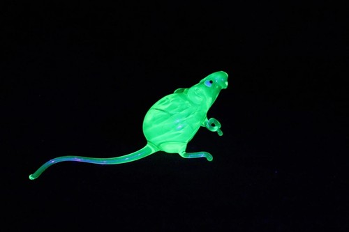 Uranium glass rat - rat,