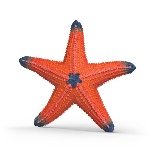 Schleich 14902 starfish colour - 14902,