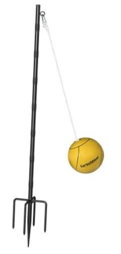 Tetherball set with - with, ball