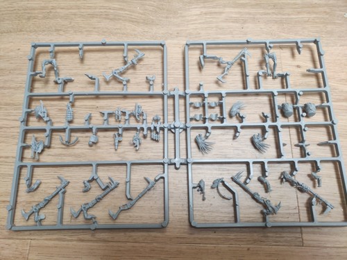 Kroot carnivores tau - kroot, d