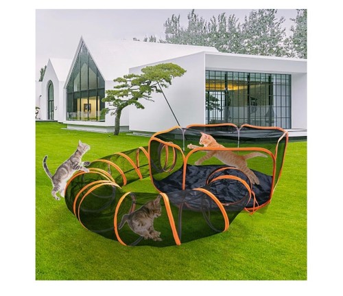 Outdoor cat enclosures - cat,