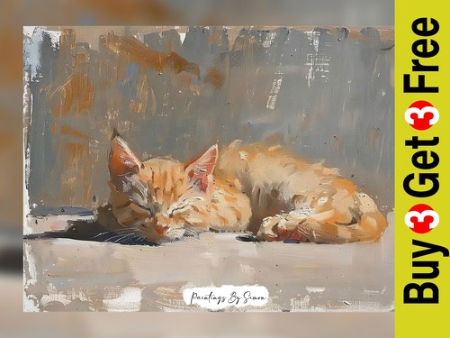 Sleeping cat sunlight oil - in,