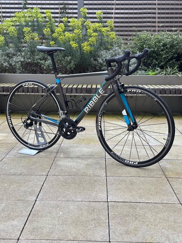 Ribble endurance 53cm - endurance, al