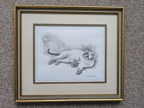 Deborah poynton siamese cat - poynton,