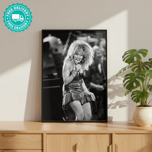 Tina turner rock - turner,