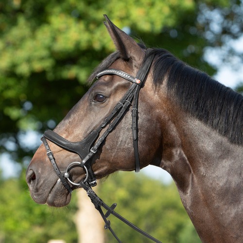 Kieffer bridle ultrasoft - kieffer, ultrasoft®