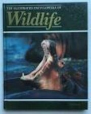 Orbis : The Illustrated