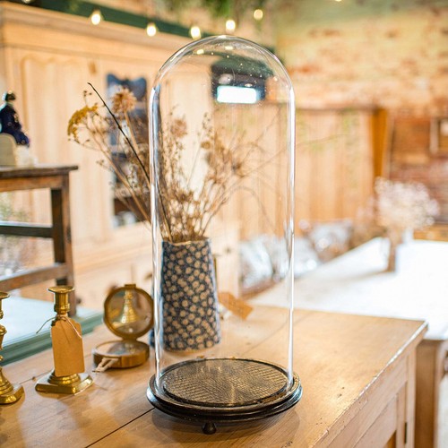 Tall antique taxidermy - tall,