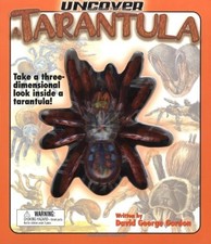 Uncover a Tarantula: Take a