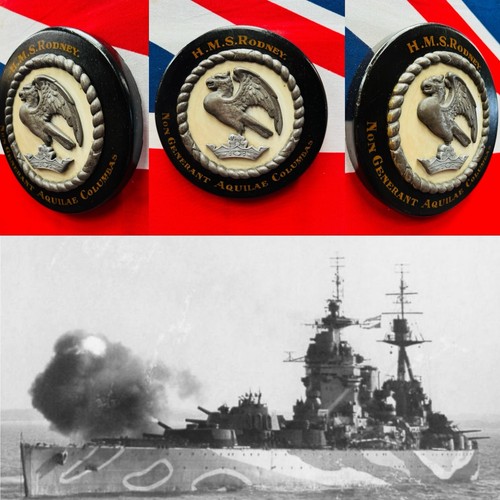 Nicely presented royal navy - presented,