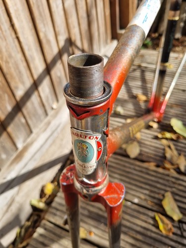 Vintage lugged steel carlton - steel,