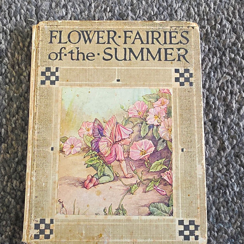 Flower fairies the summer - flower,