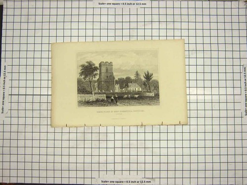 Old antique print birth place - antique,