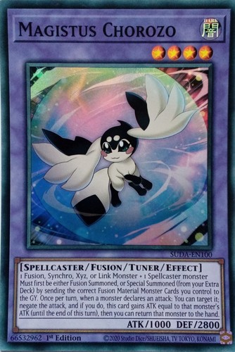 Suda en100 magistus chorozo - suda-en100,