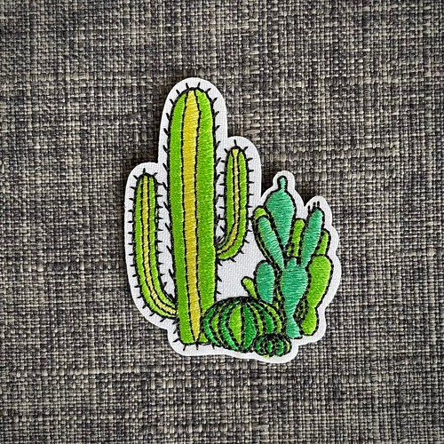 Cactus garden arid cacti - garden,