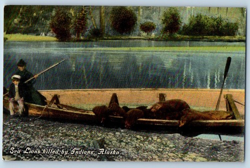 Alaska postcard sea lions - alaska,