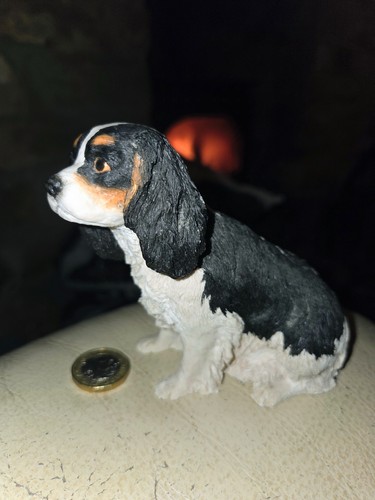 Cavalier king charles spaniel - king,