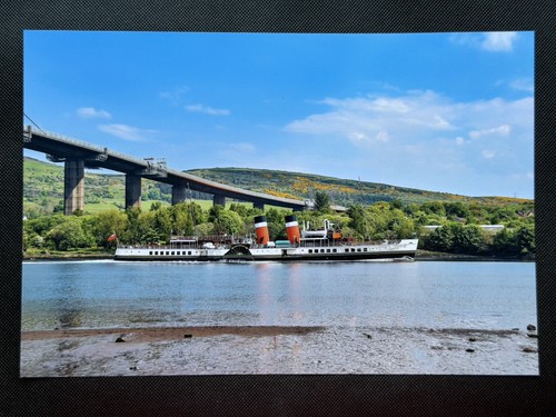 12x8 print paddle steamer - 12x8,
