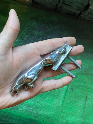 Jaguar original emblem for - jaguar,