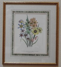 Day & Haghe Lith to the Queen