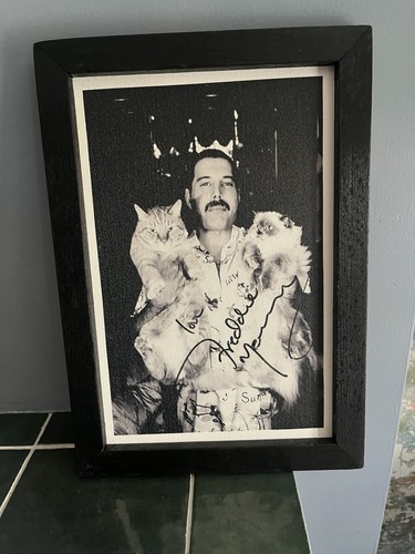 Freddie mercury print framed - freddie,