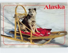 Postcard Husky pup and mother