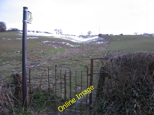 Photo 6x4 footpath picton - 6x4,