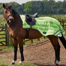 Firefoot Reflective Summer Exercise Sheet