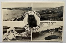 Lyme Regis Multiview, Harbour