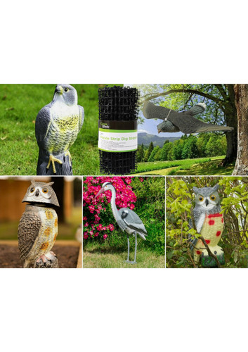 Animal deterrent garden - garden, pest