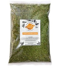 Coriander Leaves Leaf Cilantro