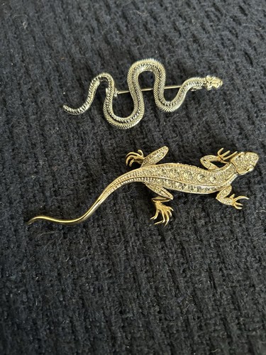 Two large brooches lizard and - two,